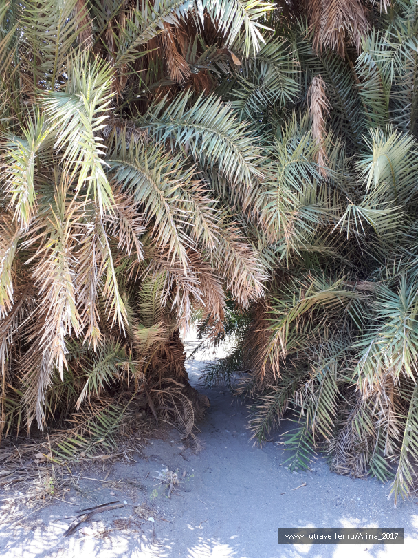 photo 1645370