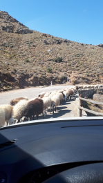 photo 1645372