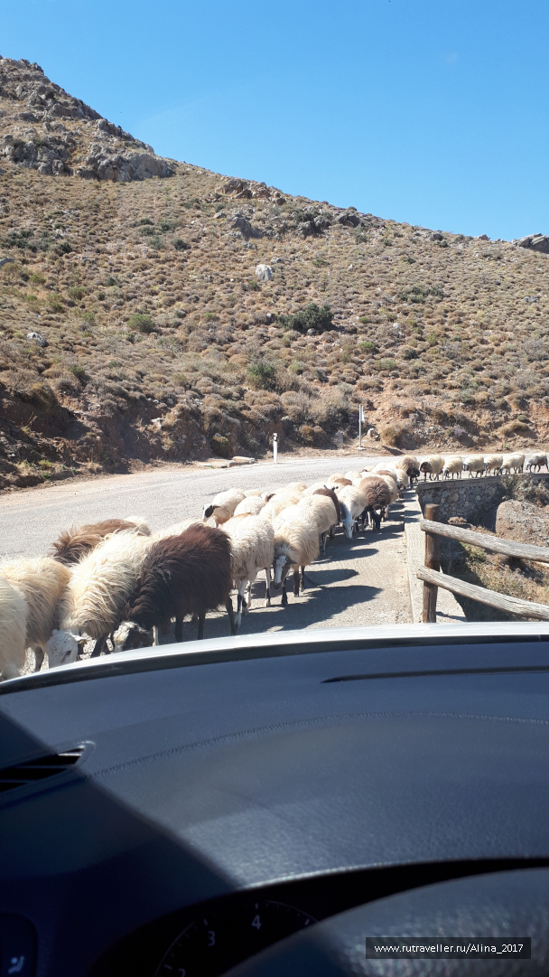 photo 1645372