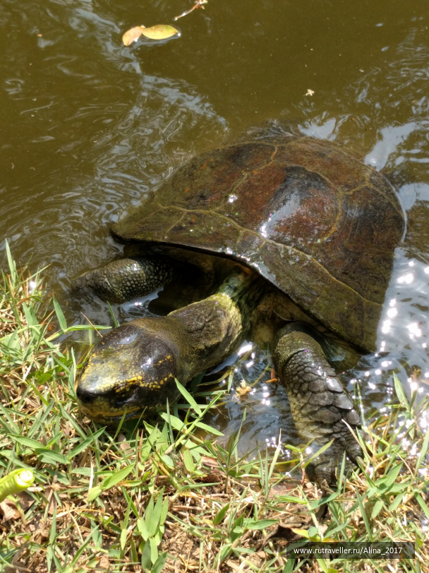 photo 1432801