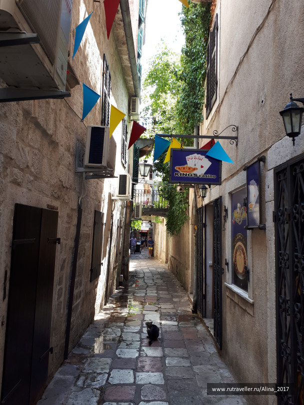 photo 1671869
