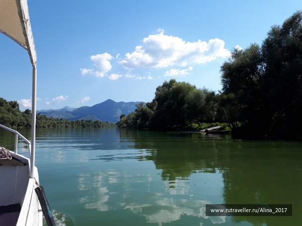 photo 1672412