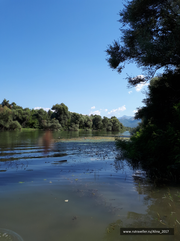 photo 1672417