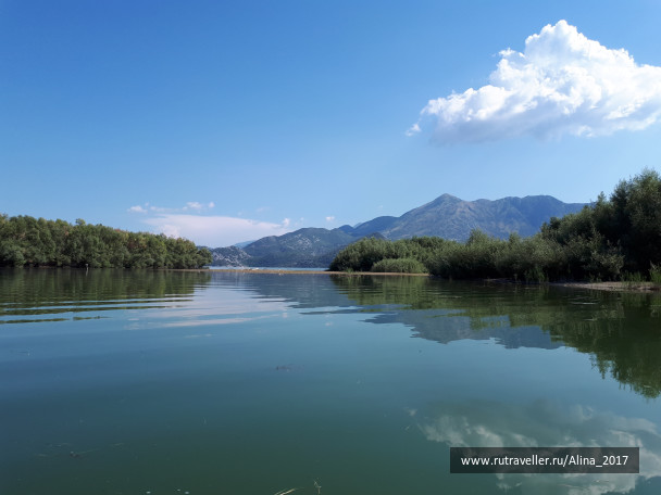 photo 1672422