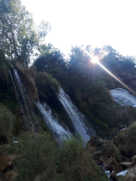 photo 1672861