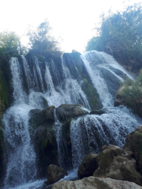 photo 1672874