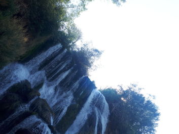 photo 1672877