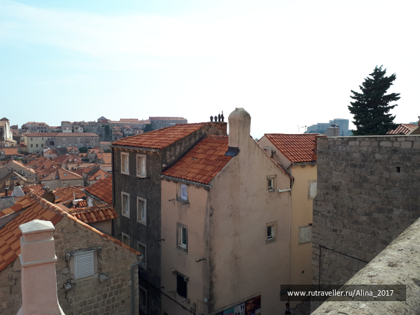 photo 1673523