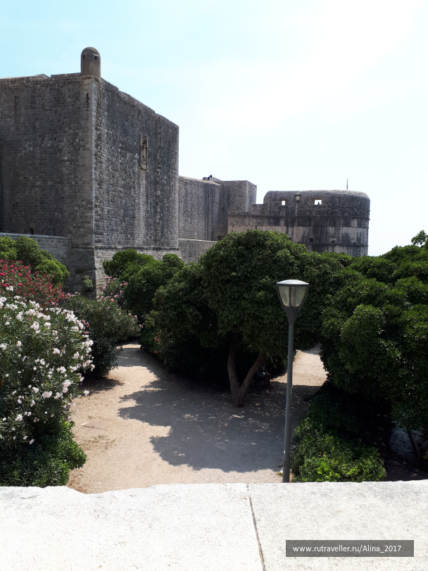 photo 1673539