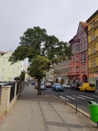 photo 1694724