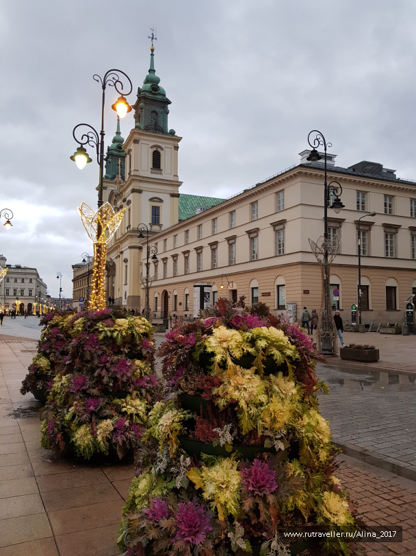 photo 1723399