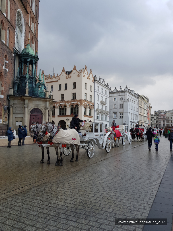 photo 1723541