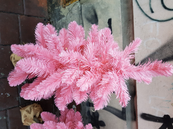photo 1724414