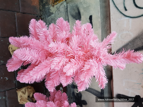 photo 1724414