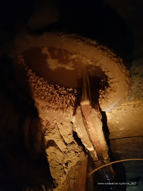 photo 1723902