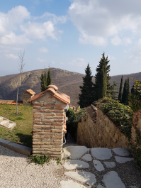 photo 1747935