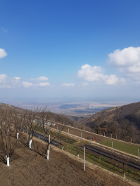 photo 1747936