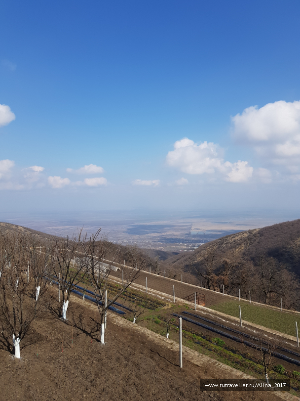 photo 1747936