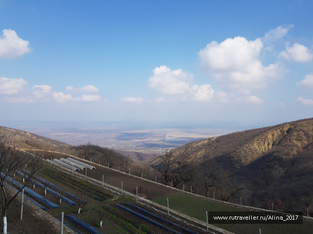 photo 1747937