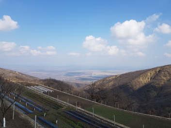 photo 1747939