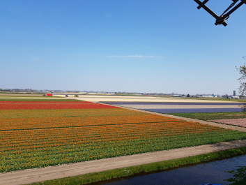 photo 1757538