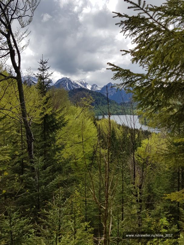photo 1764355