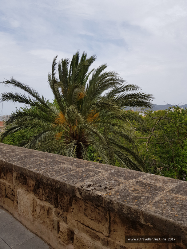 photo 1775424