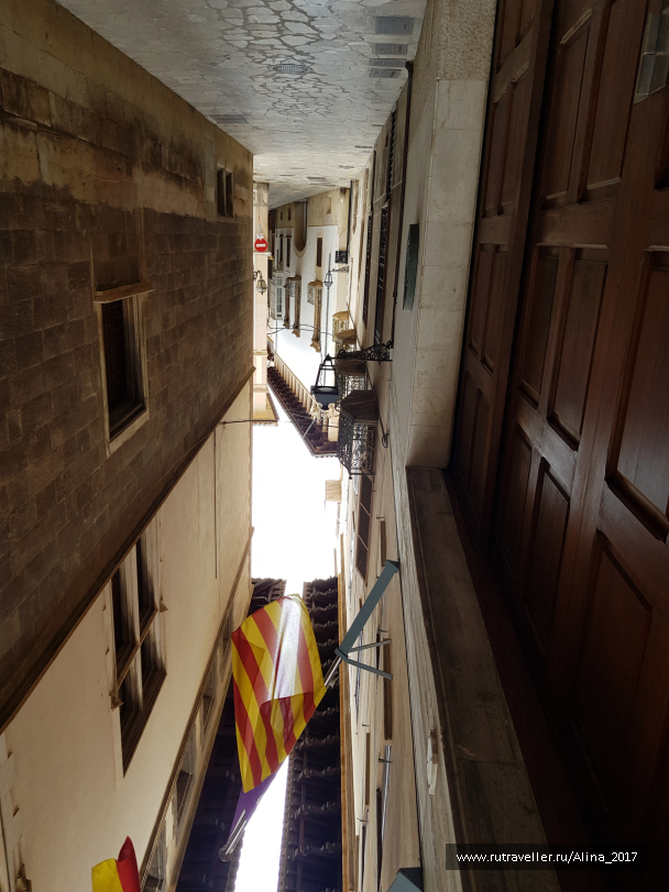 photo 1775536