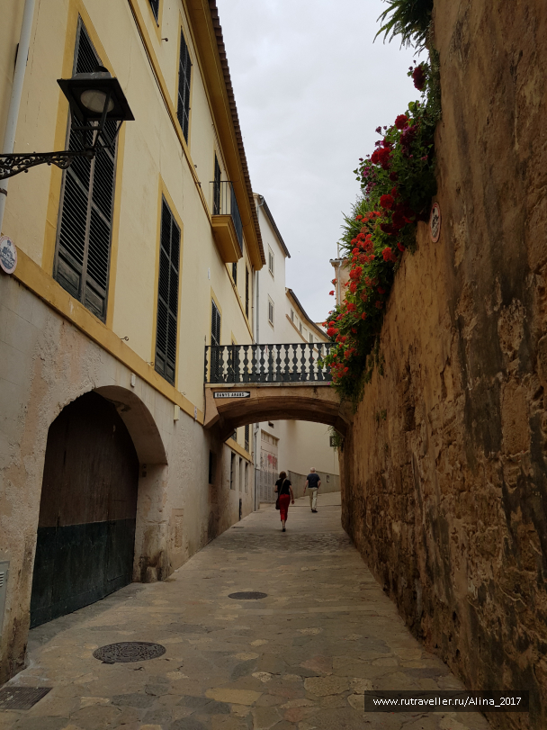 photo 1775539