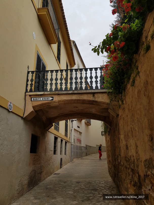 photo 1775540