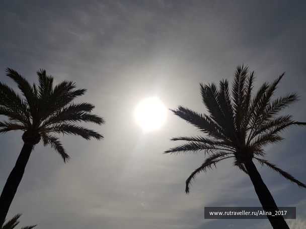 photo 1775567