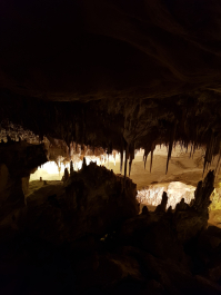 photo 1775581
