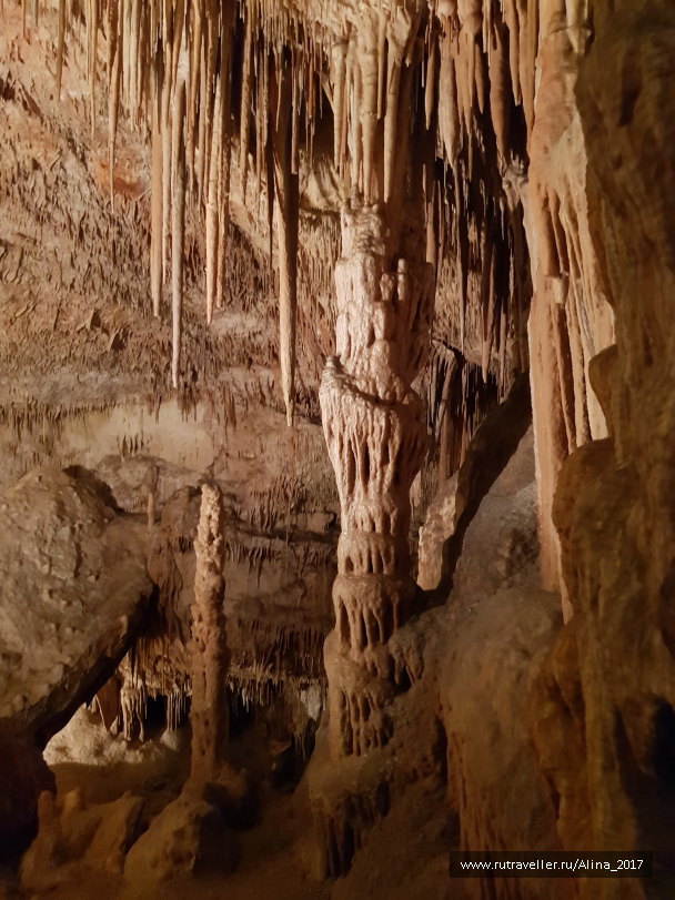photo 1775582