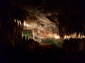 photo 1775584