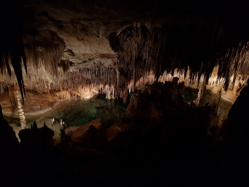 photo 1775585