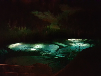 photo 1775590