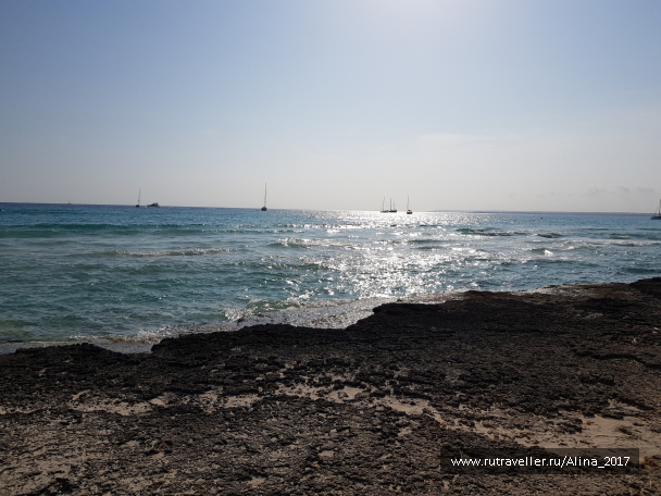 photo 1775622