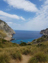 photo 1775721