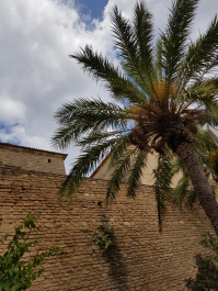 photo 1775731