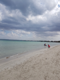 photo 1776097