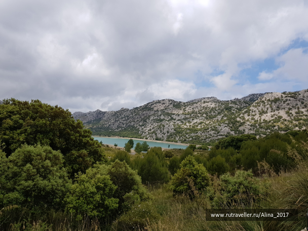 photo 1777797