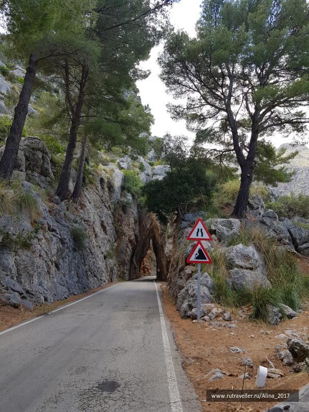 photo 1778193