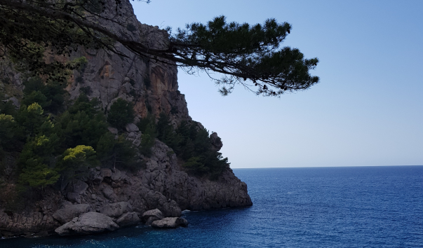 20190612_172037