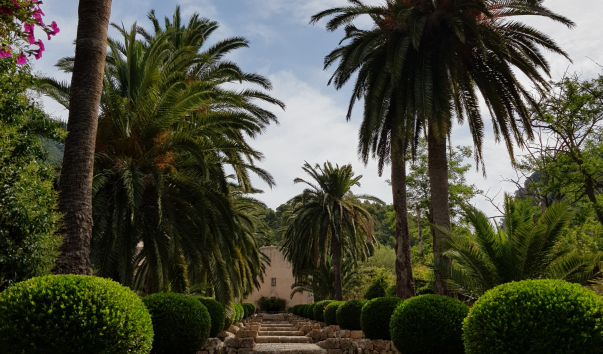 20190613_103601