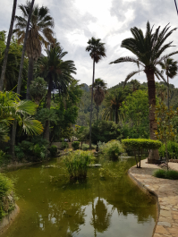 photo 1780542