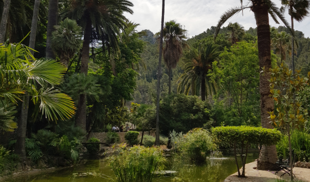 20190613_111245