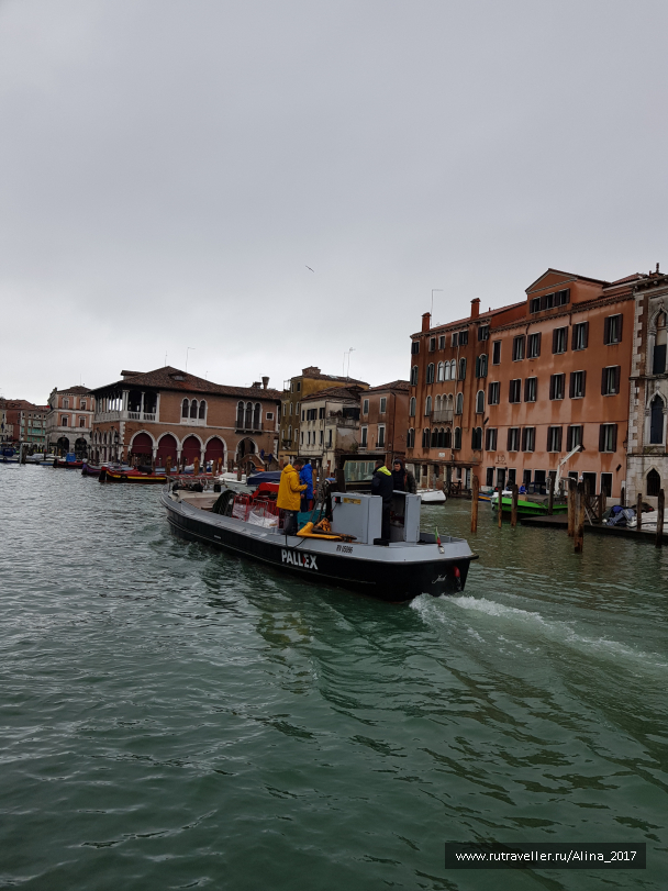 photo 1824540