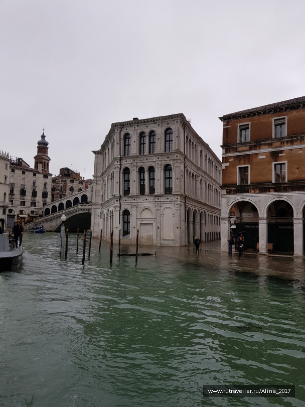 photo 1824541