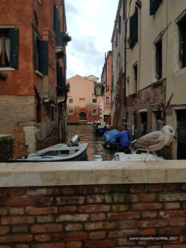 photo 1824581