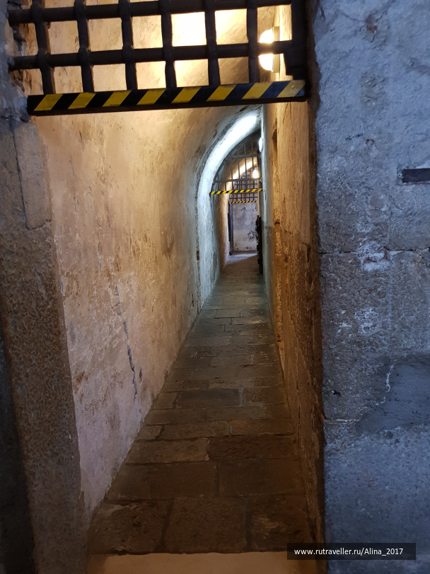 photo 1824612